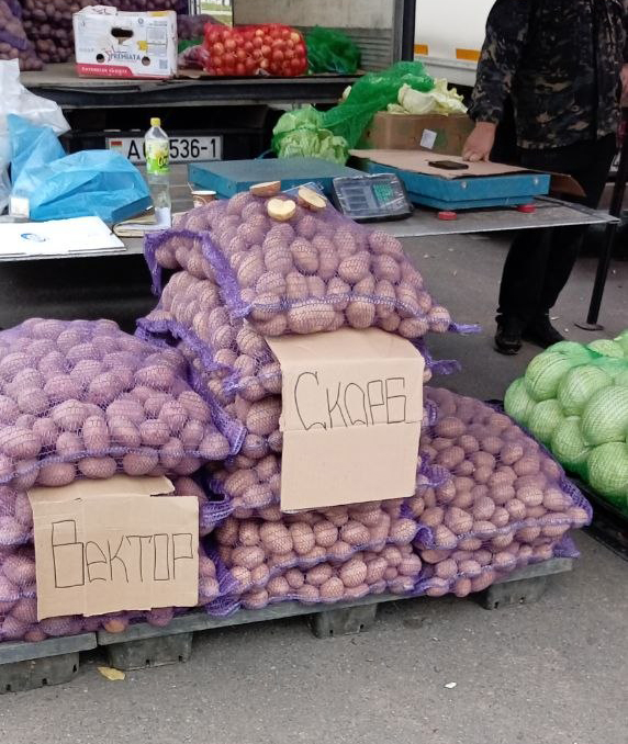 Картофель в сетках на сельхозярмарке в Могилеве